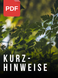 Download hier